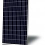 Suntech-Mono-270Wp-ZWART-zonnepanelen